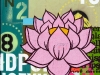 Pink Lotus, 2011, 18